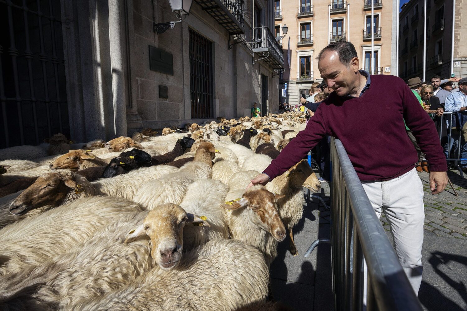 Madrid ha celebrado este domingo la XXXIII Fiesta de la Trashumancia