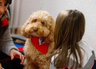 Perros y Letras colabora en la educación de los niños con necesidades educativas especiales mediante la intervención de perros adiestrados