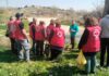 Cruz Roja de San Sebastián de los Reyes recoge y analiza los residuos abandonados en el arroyo Viñuelas
