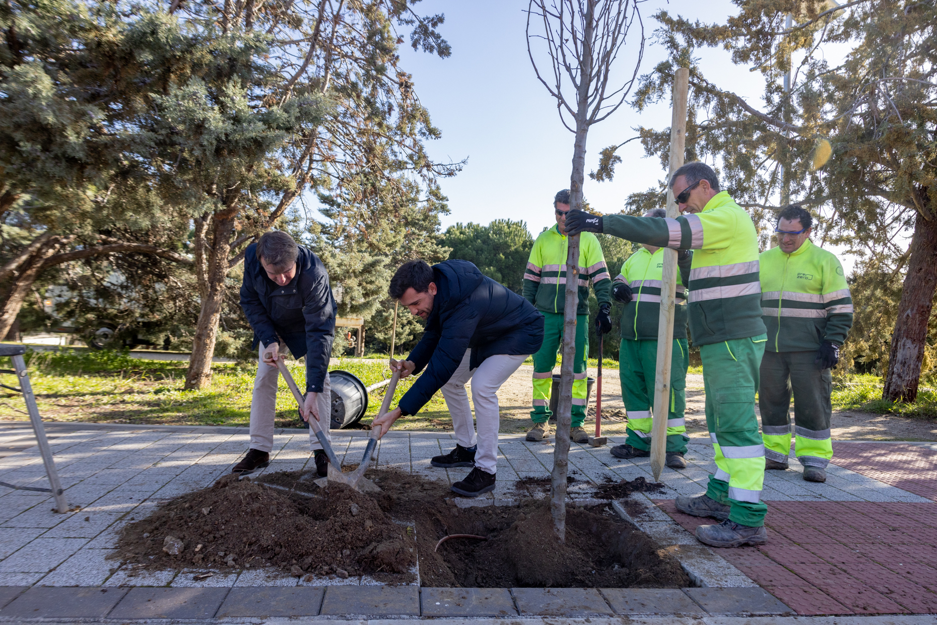 Ayuntamiento Tres Cantos inicia las plantaciones temporada 2025