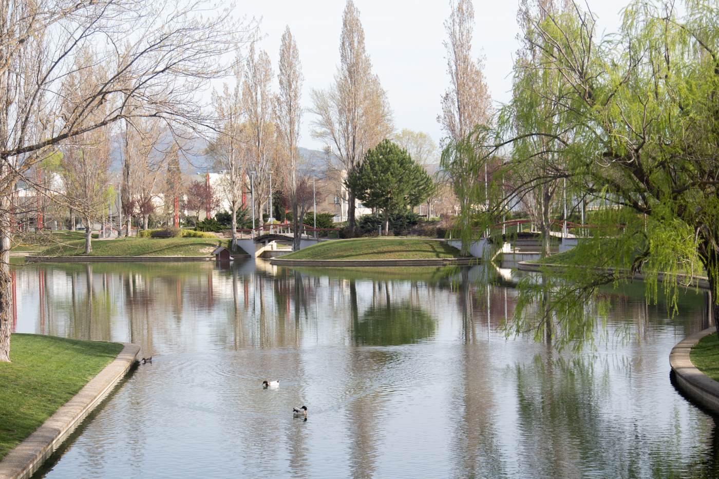 Tres Cantos elegida Ciudad Arbórea del Mundo por FAO y Arbor Day