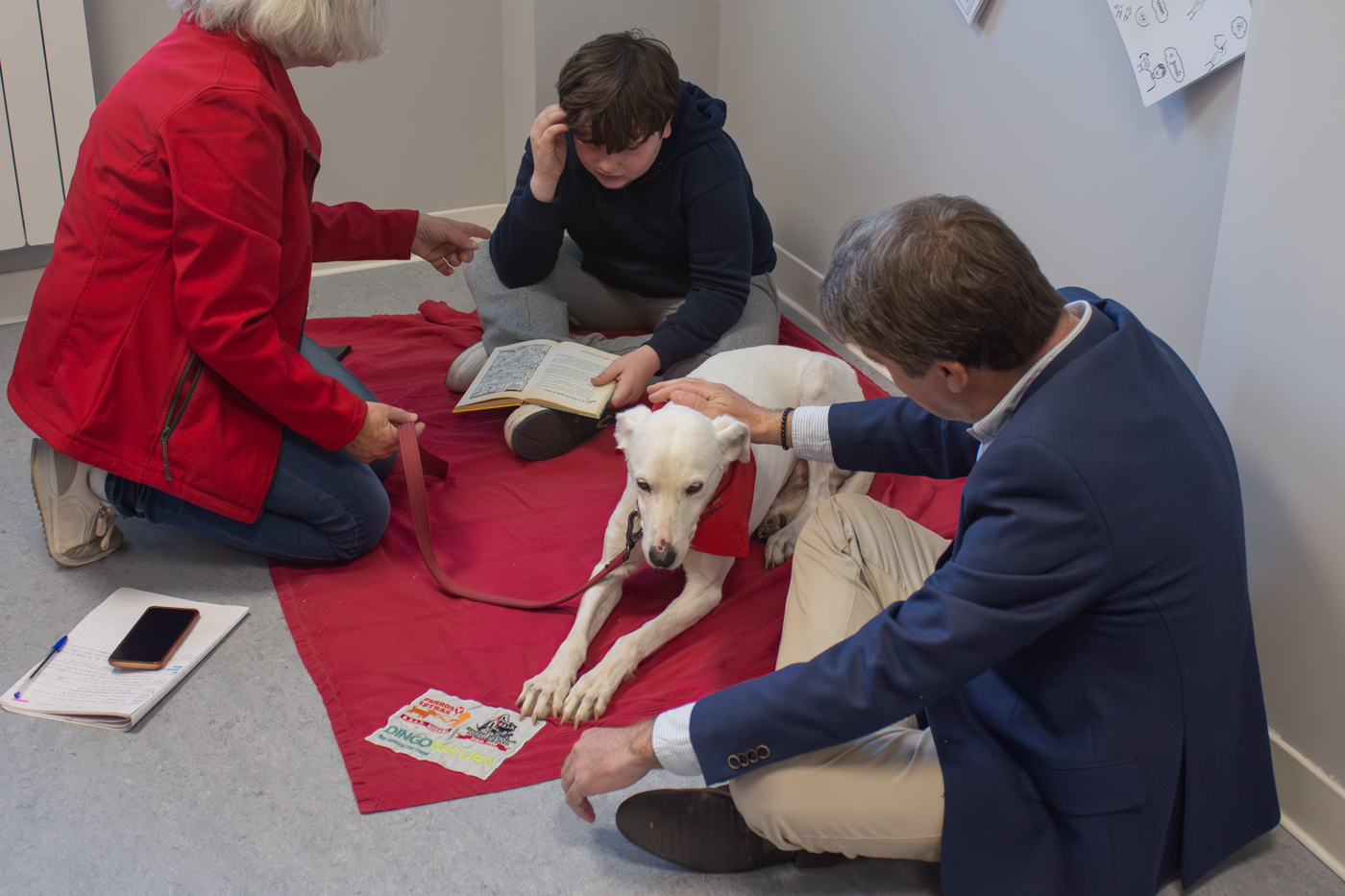 Programa "Perros y Letras" en aulas TEA colegios de Tres Cantos