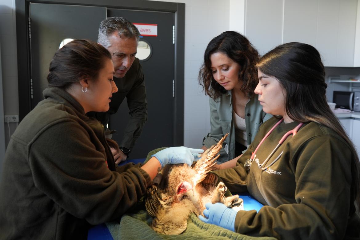 Díaz Ayuso visita el Centro de Recuperación de Animales Silvestres