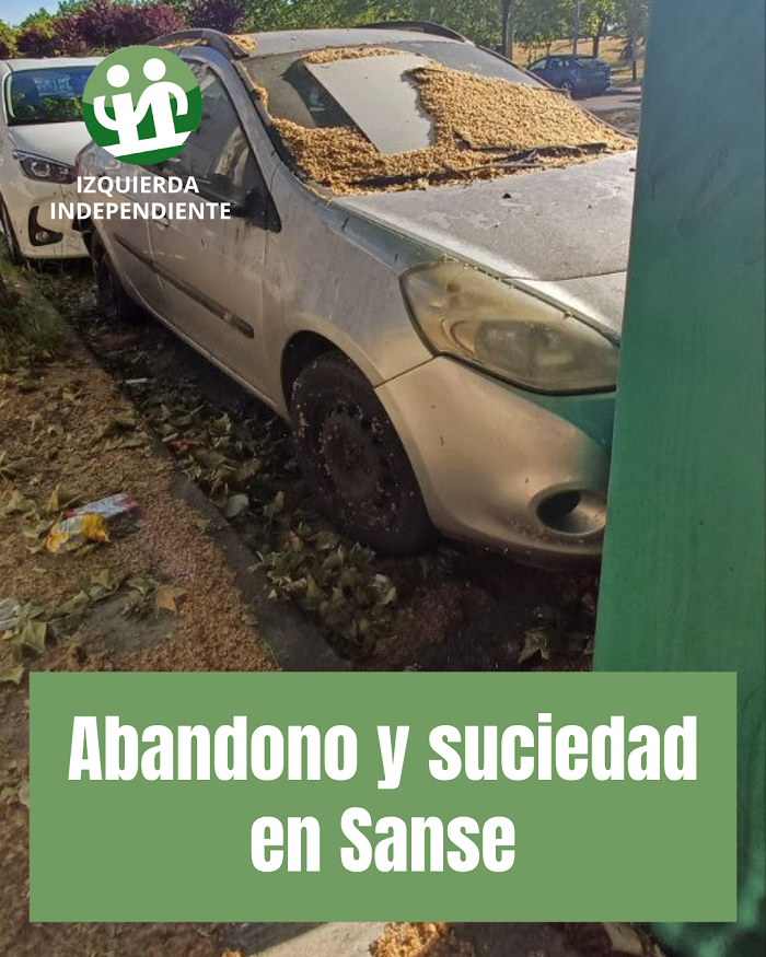 Abandono y suciedad en las zonas industriales de Sanse