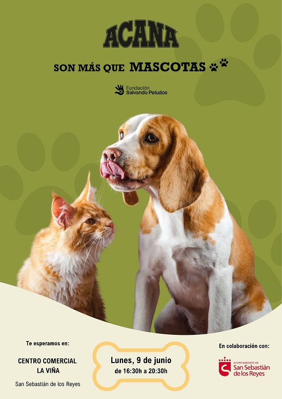 Sanse celebra la Jornada “Son más que MASCOTAS” 9 de Junio