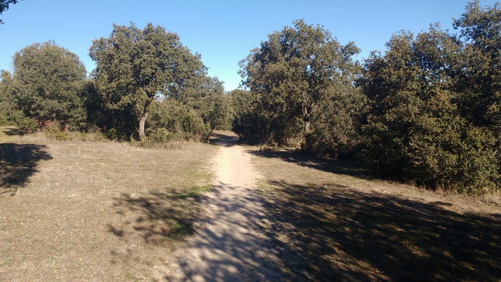 Sanse entre los municipios con alto riesgo de incedio forestal según INFOMA