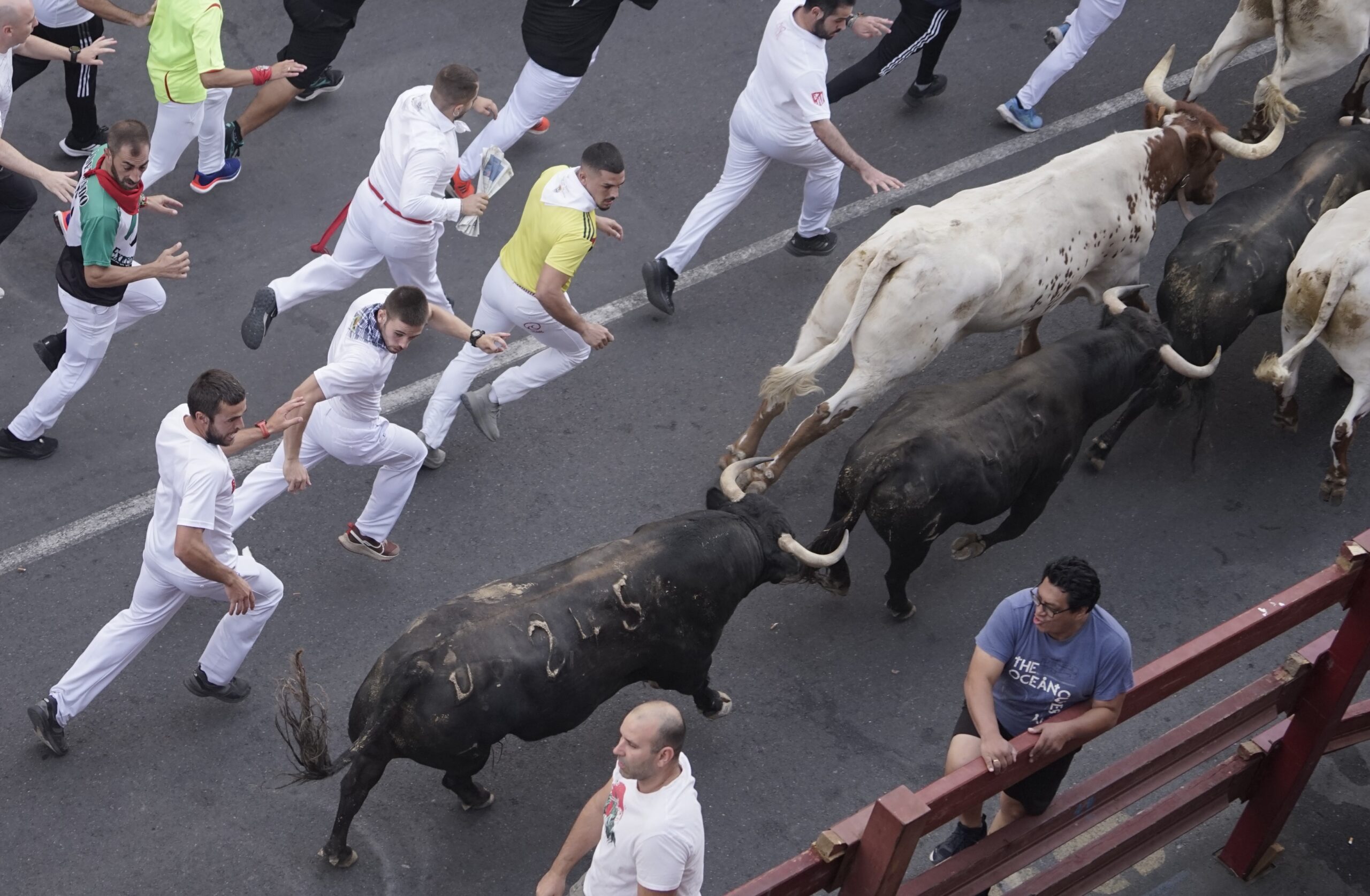 Octavo y último encierro de las fiestas de San Sebastián de los Reyes con un herido por asta