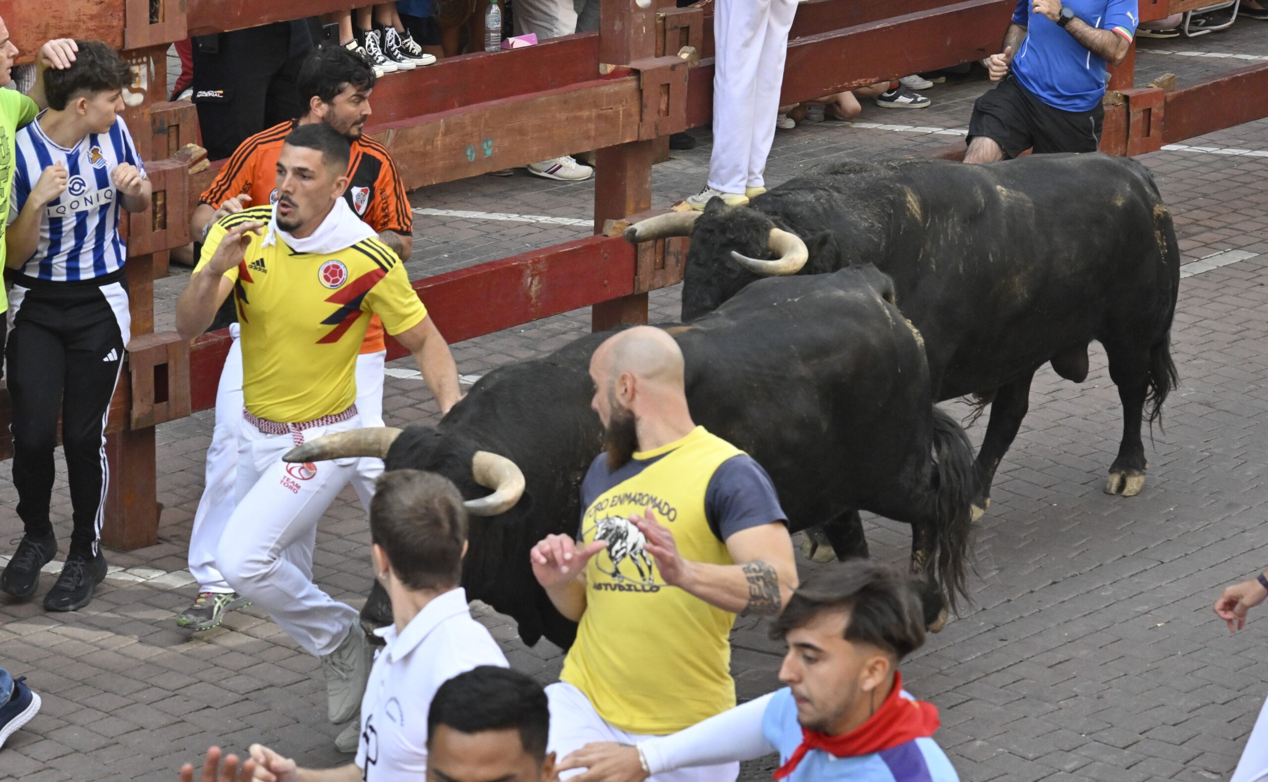 Octavo y último encierro de las fiestas de San Sebastián de los Reyes con un herido por asta