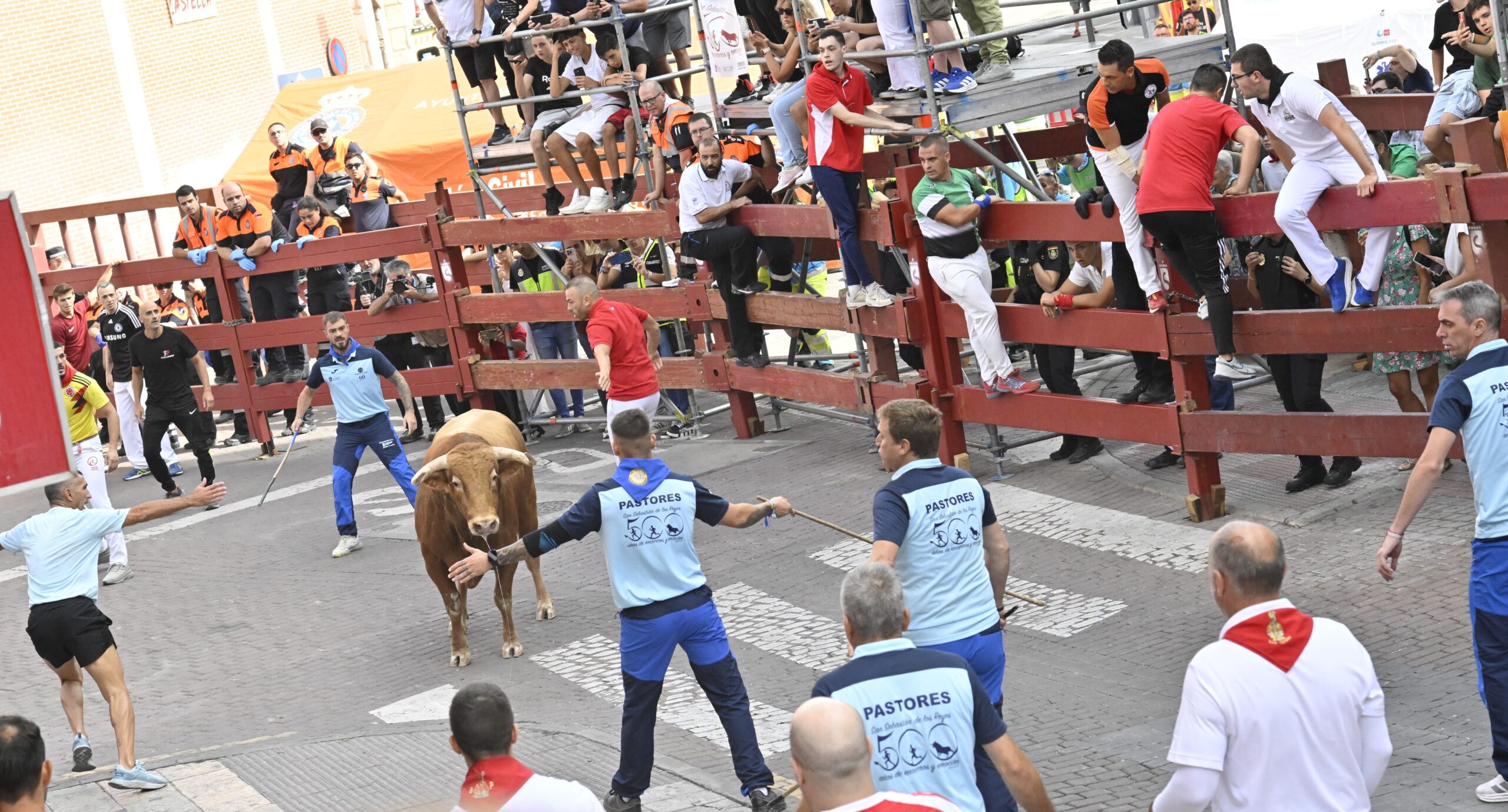 Reses muy rápidas y momentos de gran riesgo en el cuarto encierro de Sanse