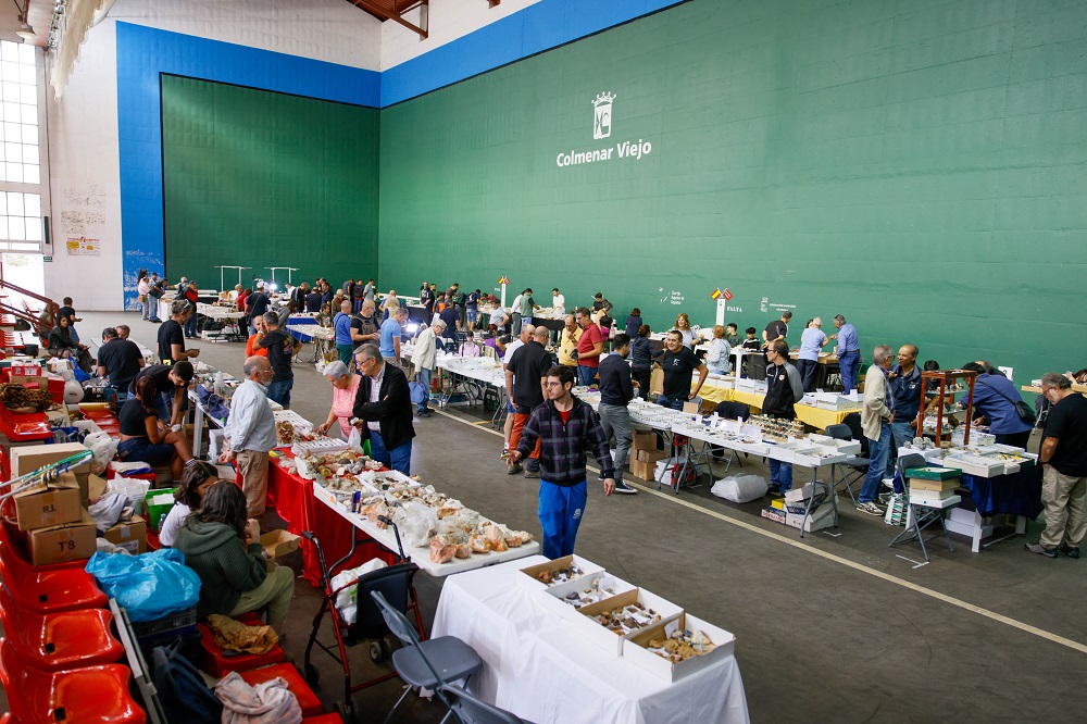 Feria de Intercambio y Venta de Minerales este sábado en Colmenar Viejo