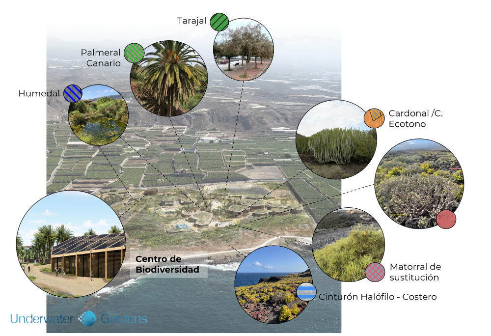 Tenerife impulsa el primer parque regenerativo marino-terrestre de Europa