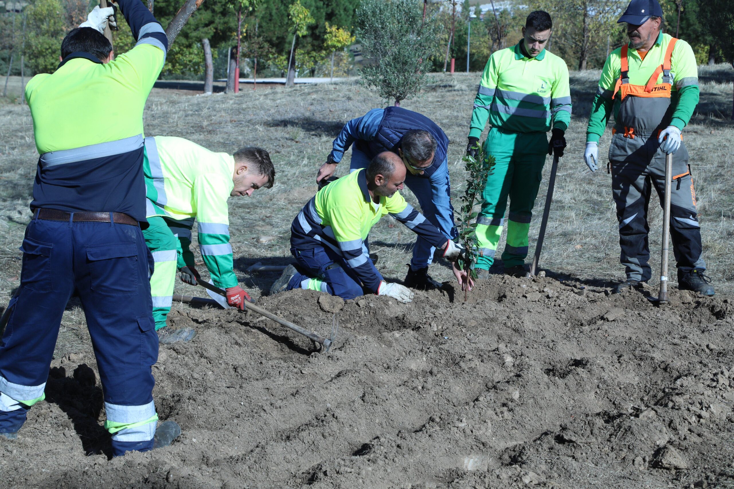 Alcobendas recibe 5.288 plantas silvestres autóctonas del IMIDRA