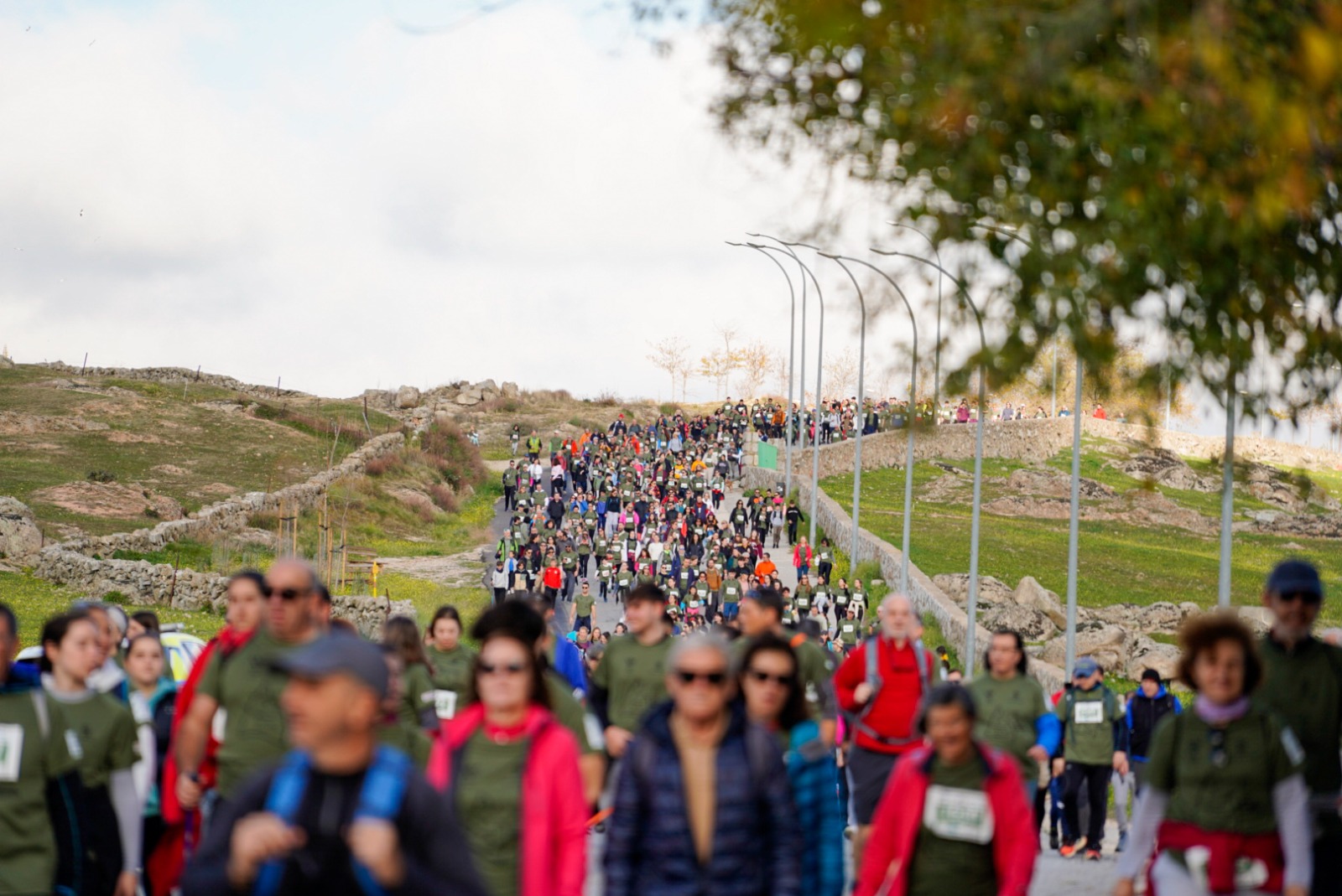 Carrera de la Marmota, Ruta de la Tapa, danza y arte este finde en Colmenar Viejo