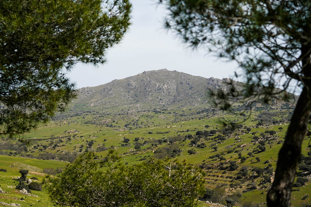 Firmas y recuerdos de montañeros que alcanzan la cima Pico de San Pedro