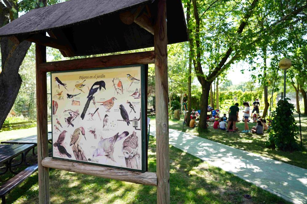 Actividad Ornitológica en Centro de Naturaleza Dehesa Boyal Sanse