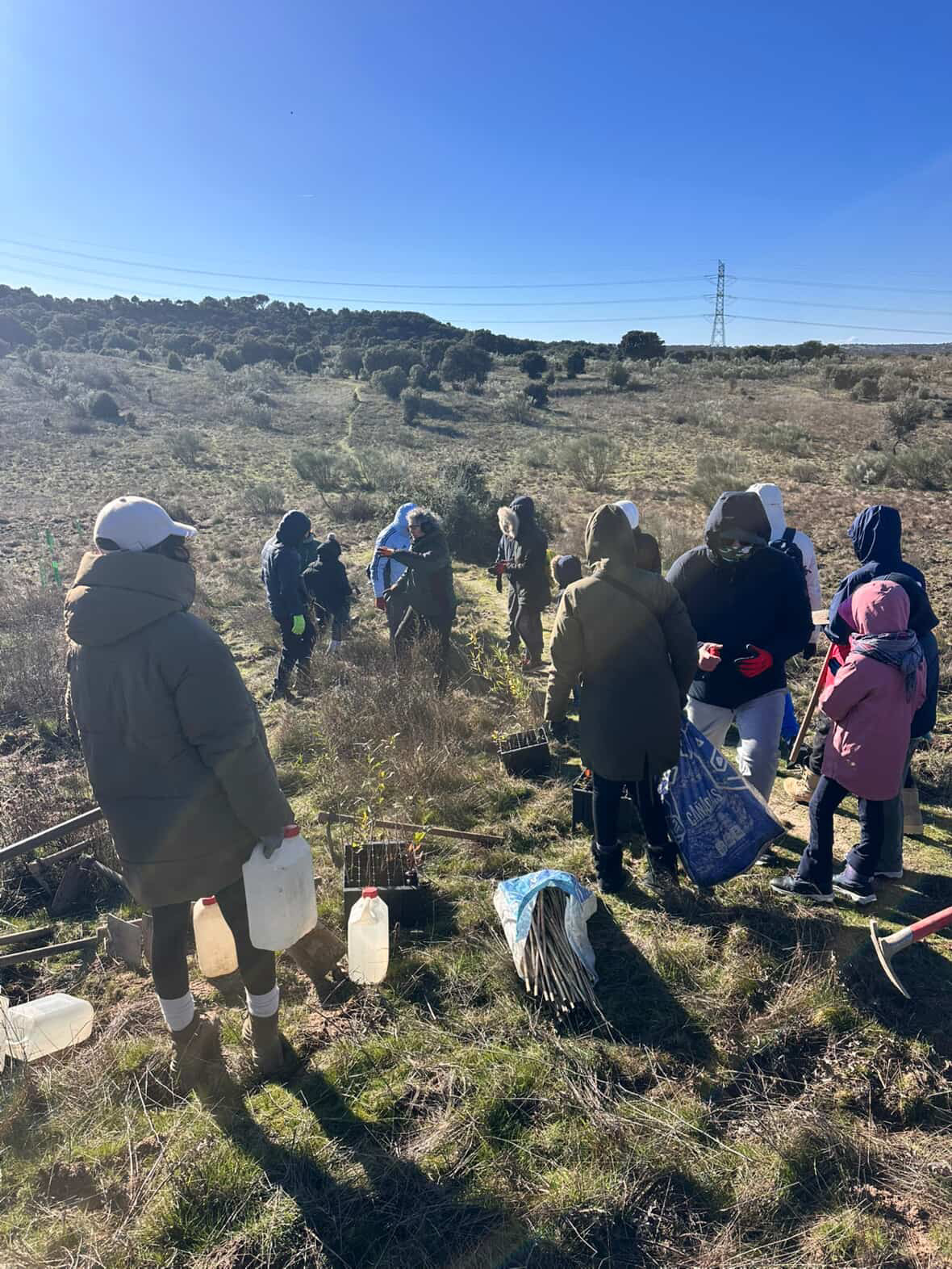 Tres Cantos impulsa nueva campaña de reforestación en Valdeloshielos