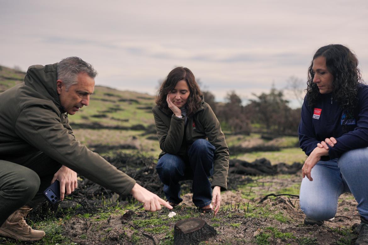Díaz Ayuso comprueba los trabajos de urgencia finalizados en el Monte de Viñuelas
