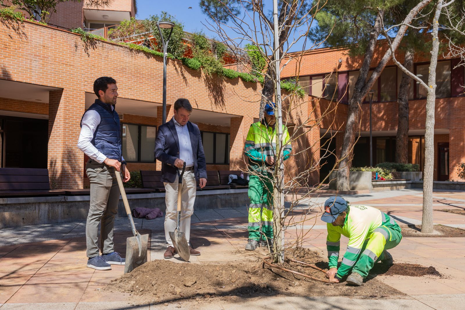 Tres Cantos finaliza en abril con la plantación de 3.000 árboles