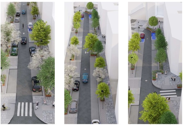 Sanse pone en marcha el Plan "Bosque Urbano La Marina"