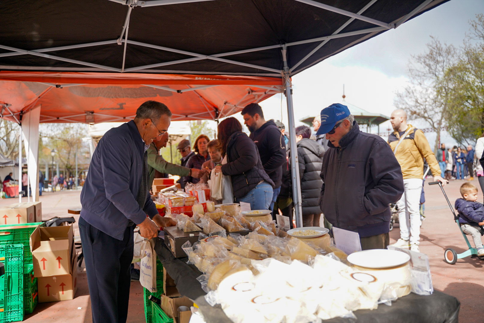 Colmenar Viejo celebra las X Jornadas de Pastoreo y la Feria de Quesos Artesanales