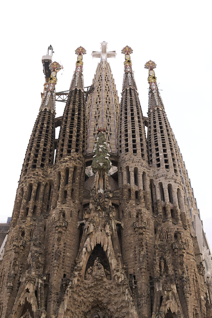León XIV preside la Santa Misa en la Basílica Sagrada Familia