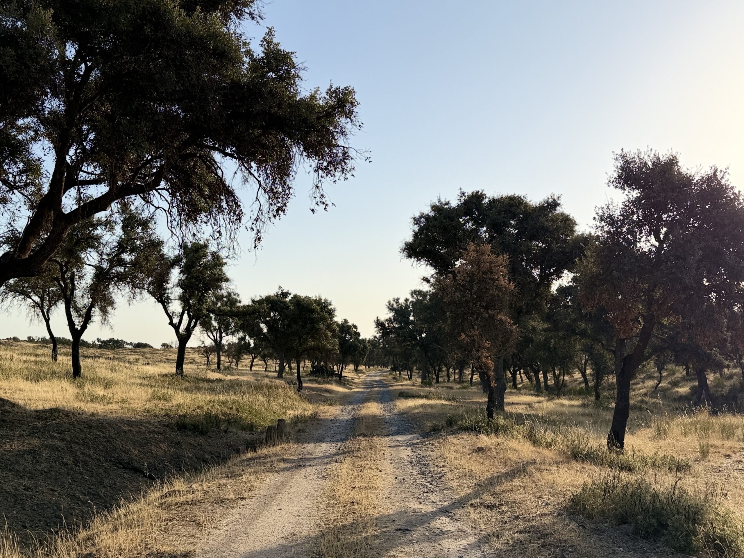 15.000 litros de agua para la fauna del Monte de Viñuelas y CRAS Tres Cantos