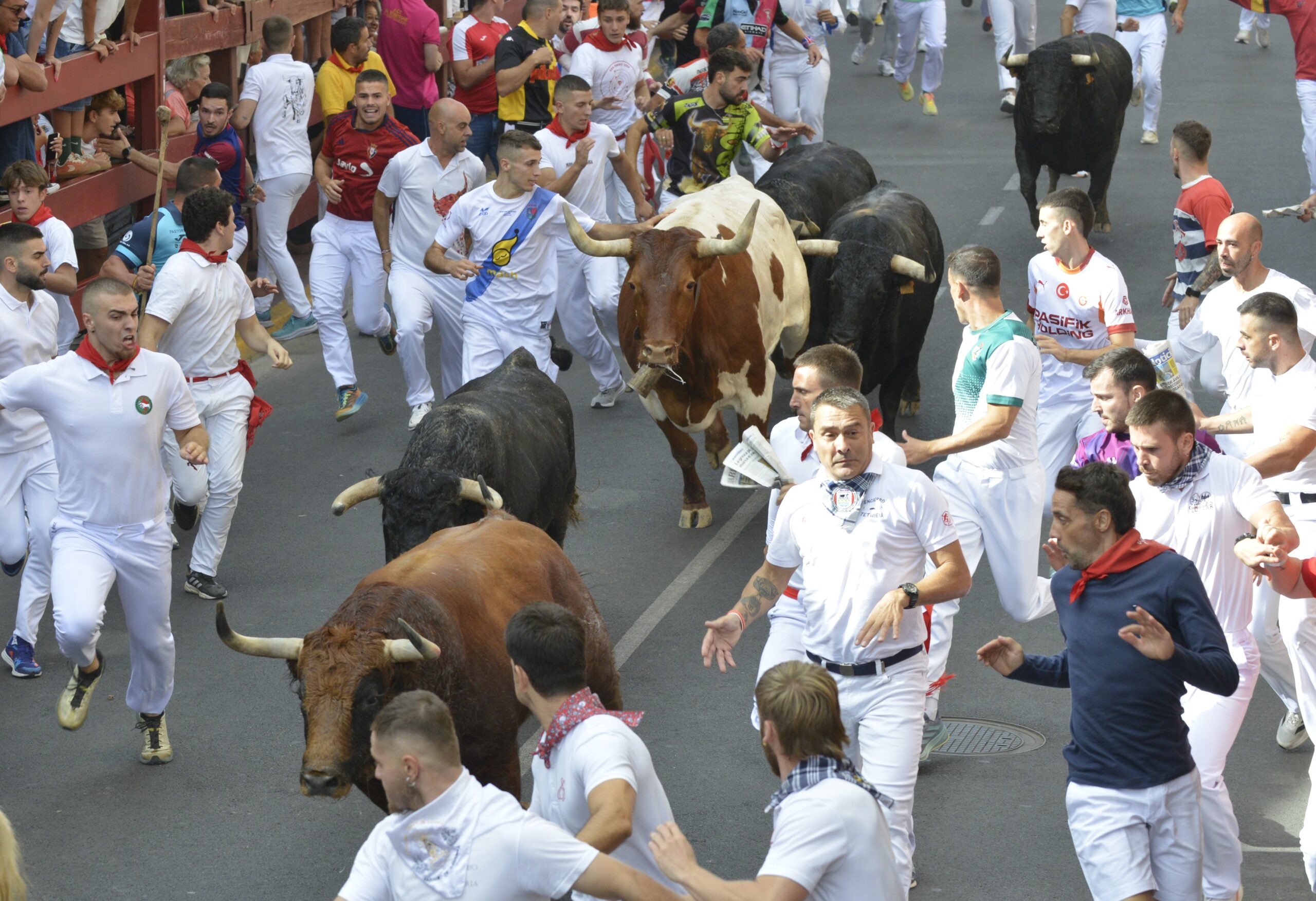 Emocionante primer encierro de Sanse con toros de la gananaderia Hermanos Tardeu