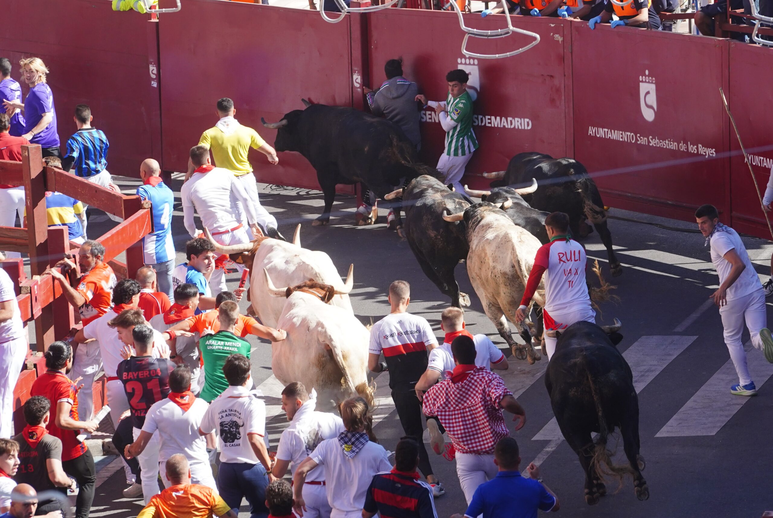 Quinto encierro Sanse ocasiona un tapón a la entrada de la plaza