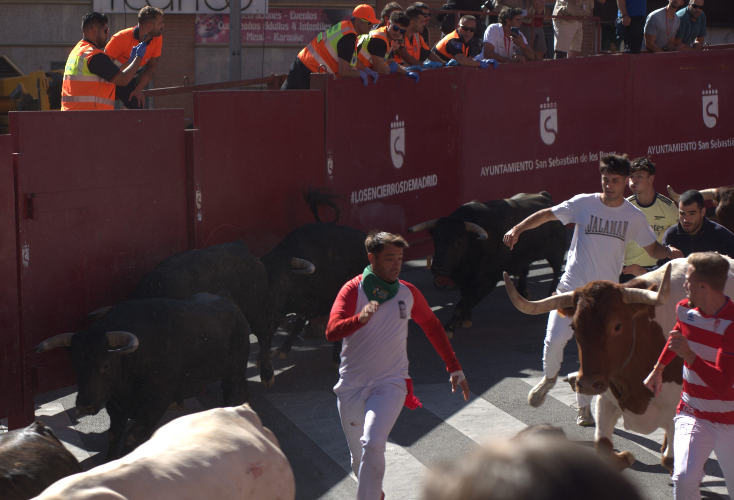 Trote templado y grandes carreras delante de la cara de los toros marcan el séptimo encierro de Sanse