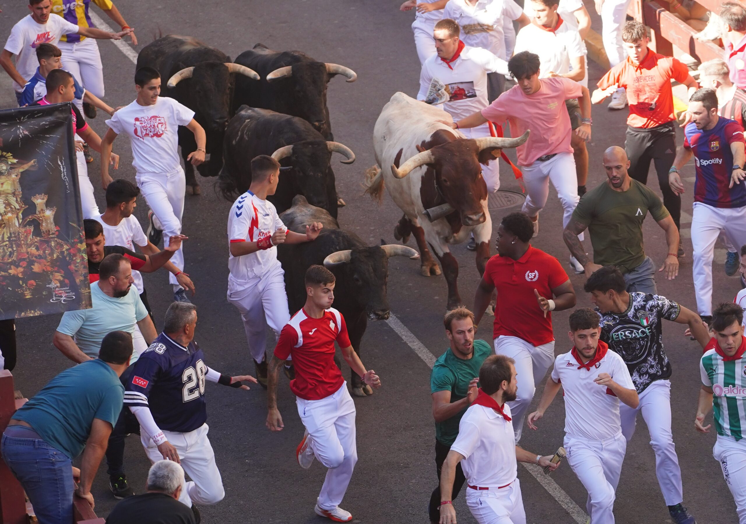 Trote templado y grandes carreras delante de la cara de los toros marcan el séptimo encierro de San