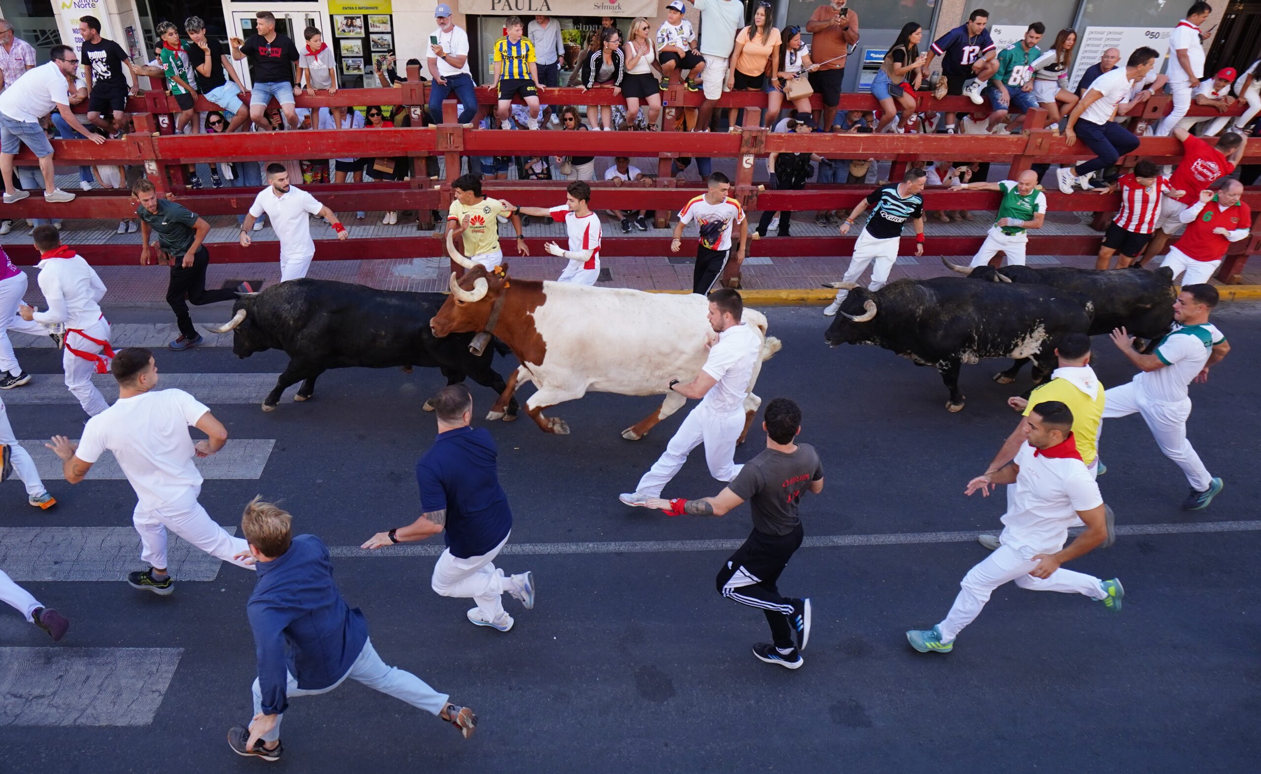 Gran encaste y carreras de vértigo en el tercer encierro de Sanse