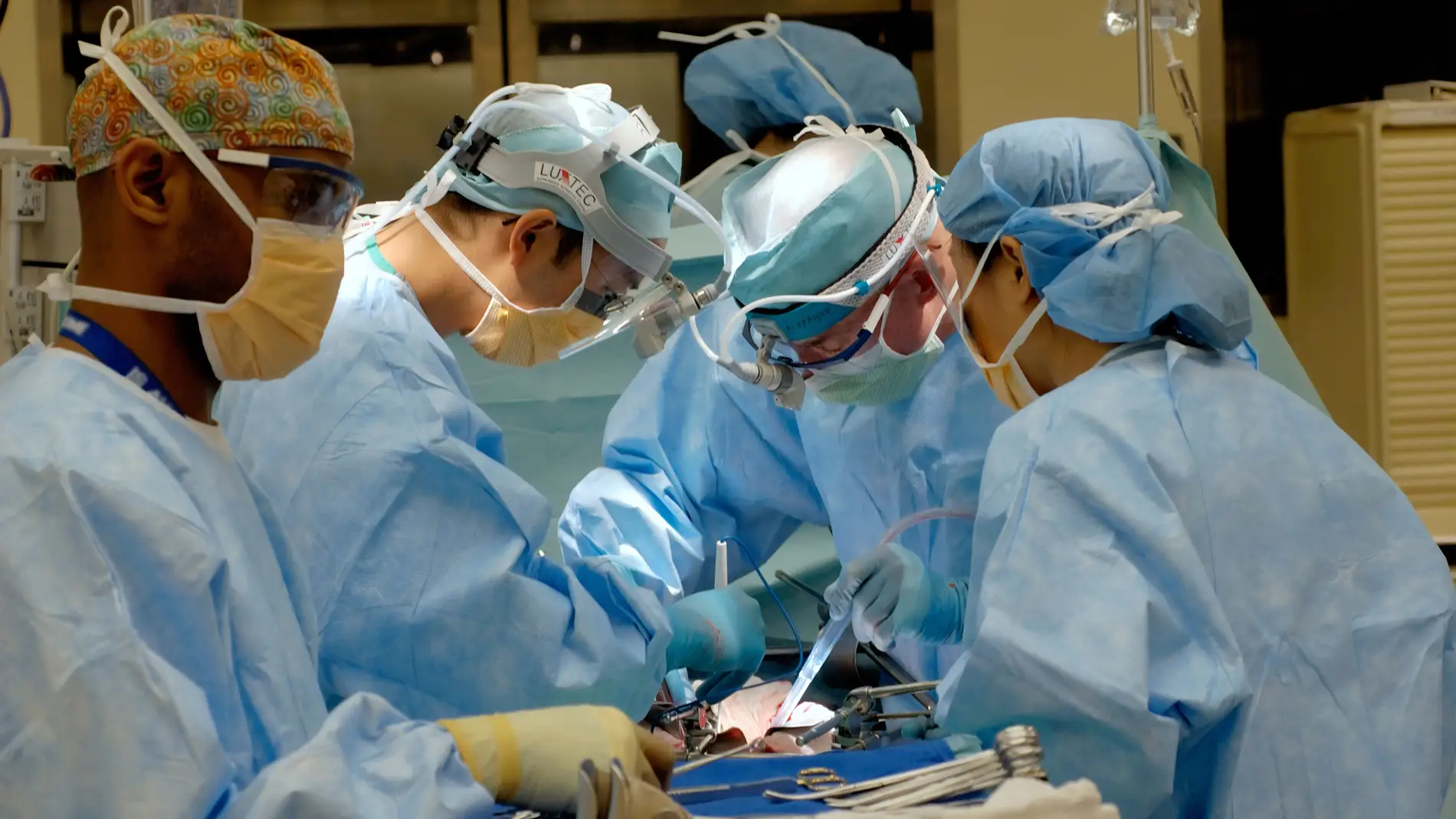 España, líder en trasplante renal y pulmonar a nivel mundial