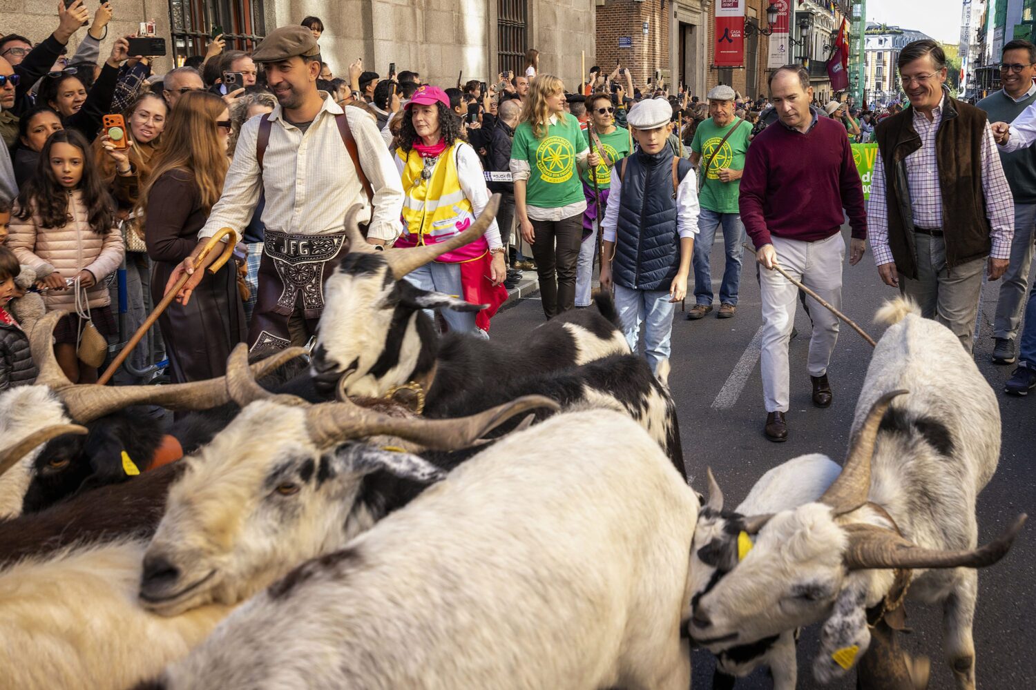 Madrid ha celebrado este domingo la XXXIII Fiesta de la Trashumancia